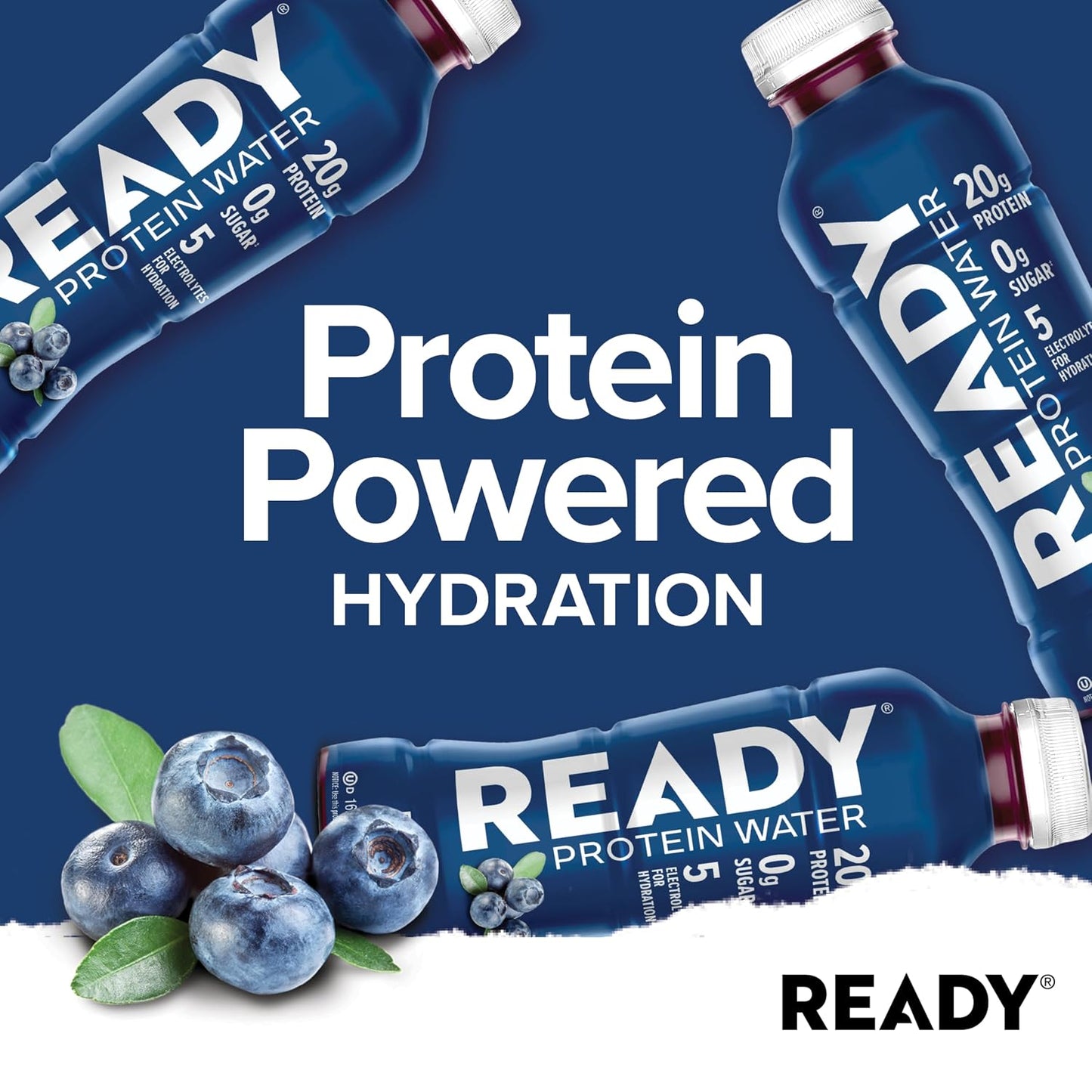 Ready Clear Protein Water, Blueberry, 20g Whey Protein Isolate, 12 Pack | Zero-sugar sports drink with electrolytes and essential amino acids for hydration and recovery, 16.9 fl oz